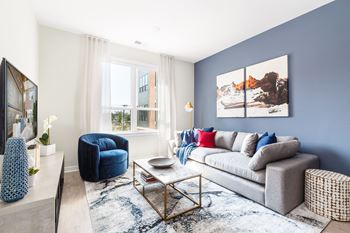 A living room with a blue accent wall and a gray couch